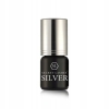 Klej do rzęs SILVER 3g SECRET LASHES
