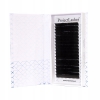Rzęsy Project Lashes L 0,07 5-13mm czarne MIX