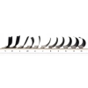 Rzęsy Project Lashes D 0,05 5-13mm czarne MIX MATT