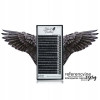 jolash Rzęsy Black Feather - skręt M 0,05 - Mix