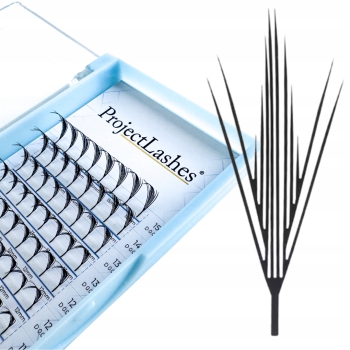 Sztuczne rzęsy Manga Anime Comic Project Lashes WING FANS D 0,07 MIX 8-15mm