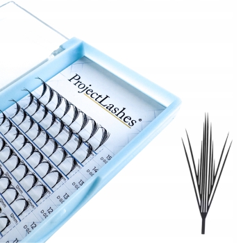Sztuczne rzęsy Manga Anime Comic Project Lashes WING FANS D 0,07 MIX 8-15mm